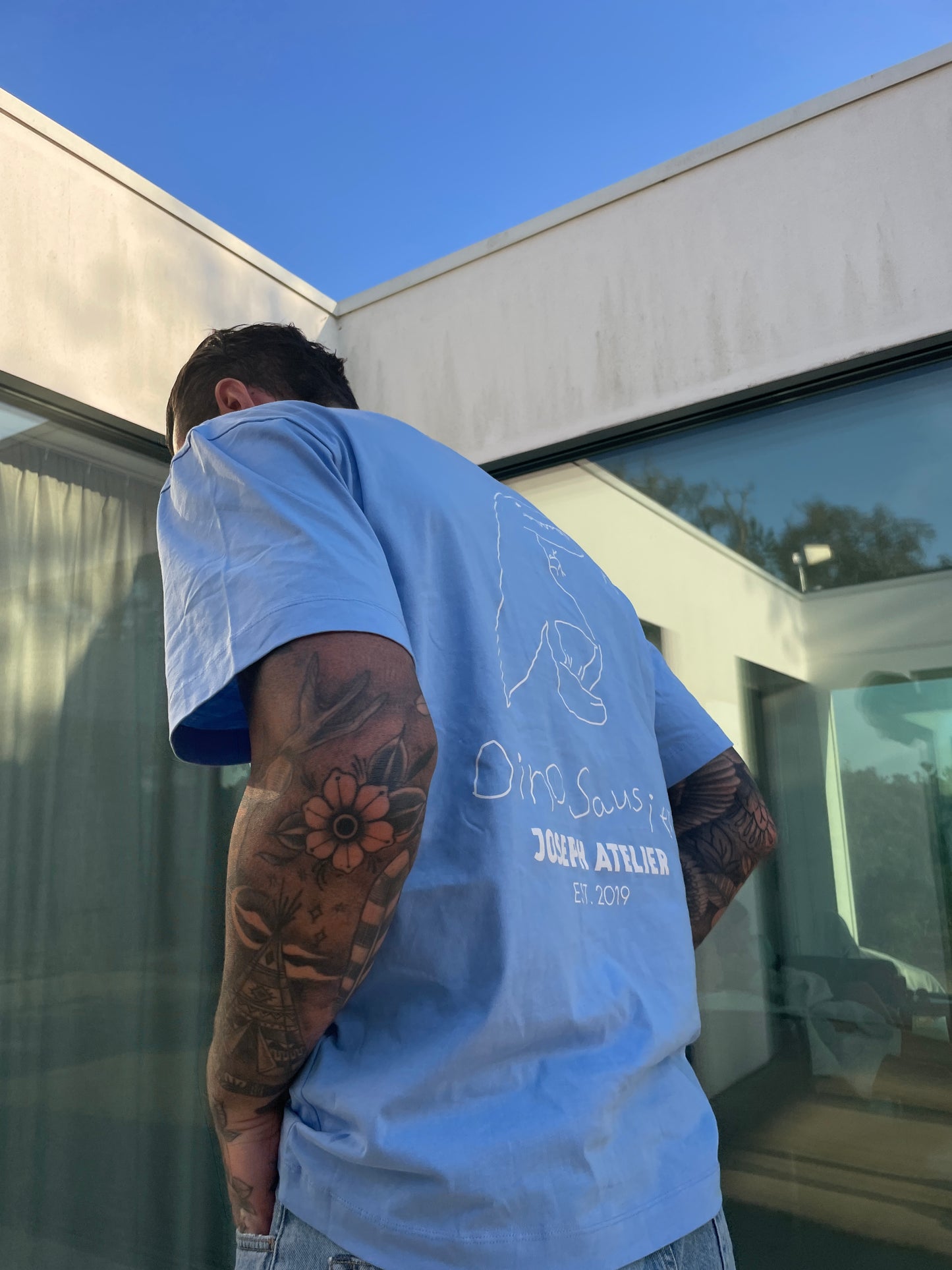 dinosausier summer tee