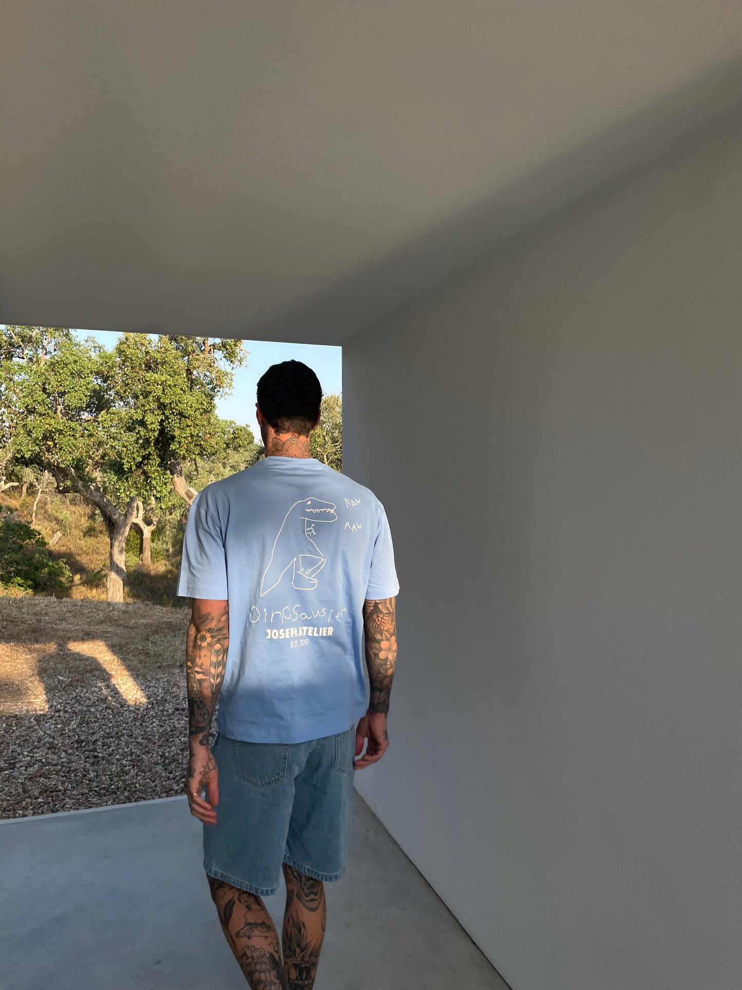 dinosausier summer tee