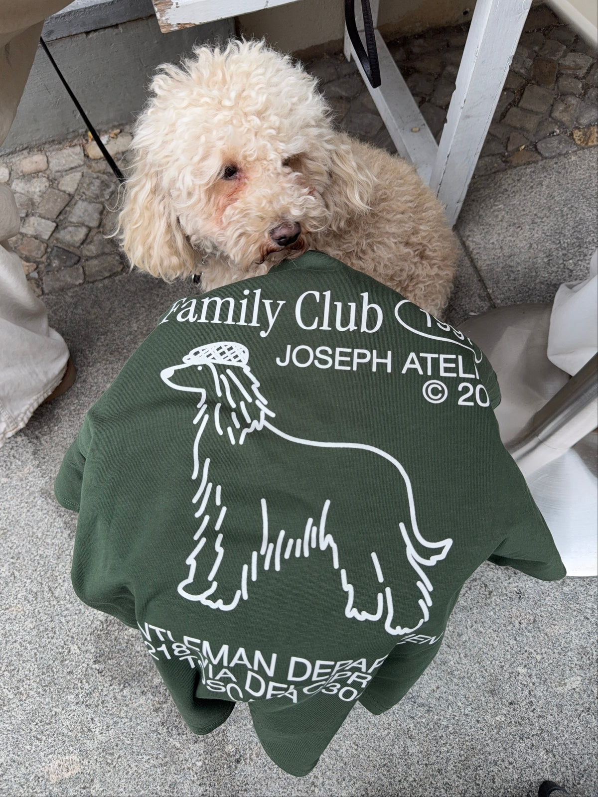 classic tee family club