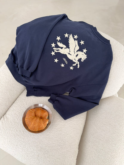 classic sweater pegasus