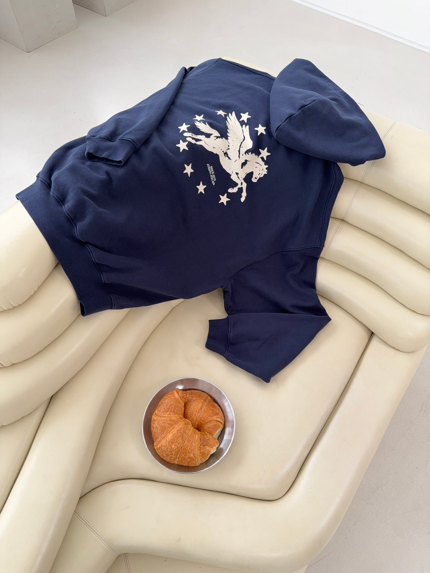 classic hoodie pegasus